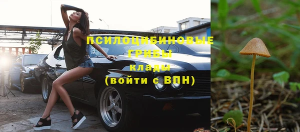 соль курить ск Каменногорск
