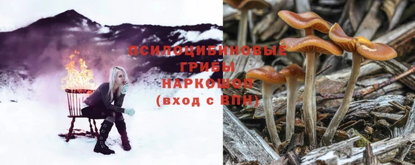 a pvp Каменка
