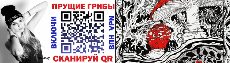 Купить где  Липки  Галлюциногенные грибы Magic Shrooms 